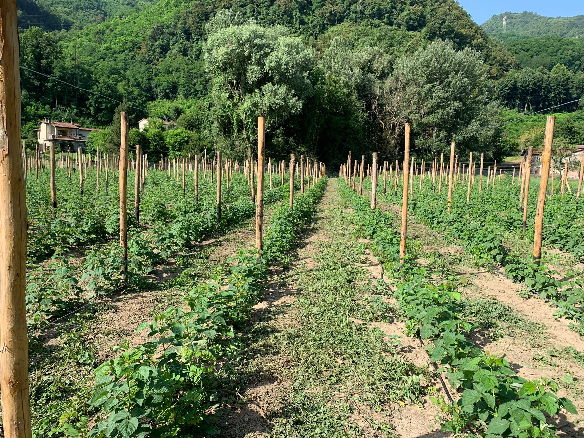 Agri Lab